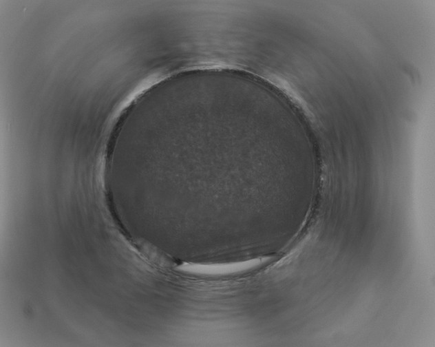 X0000113551173200910091258