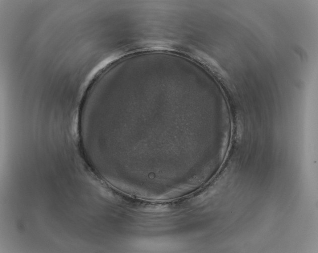 X0000113551174200910091258