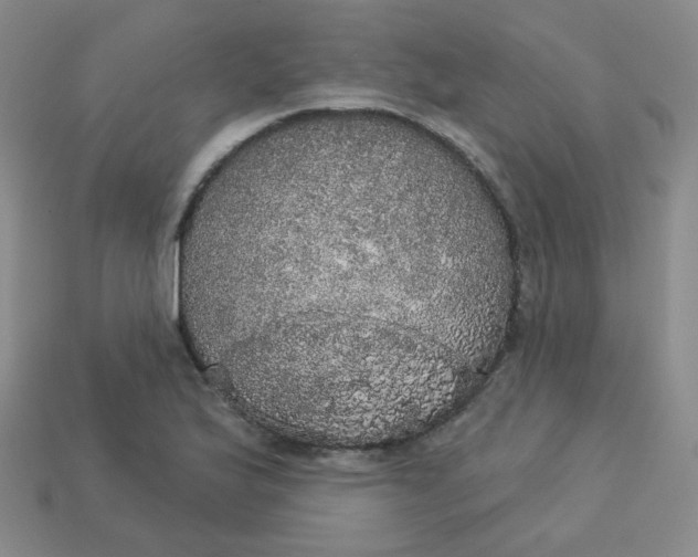 X0000113551175200910091258