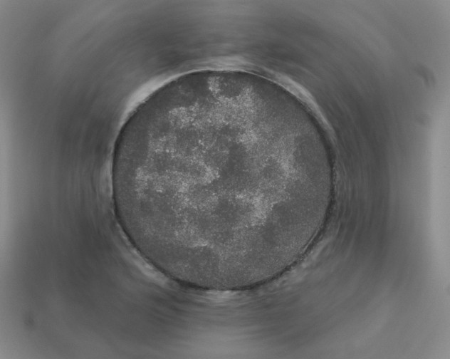 X0000113551176200910091258