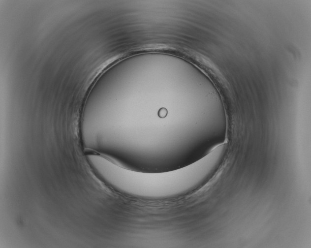 X0000113551177200910091258