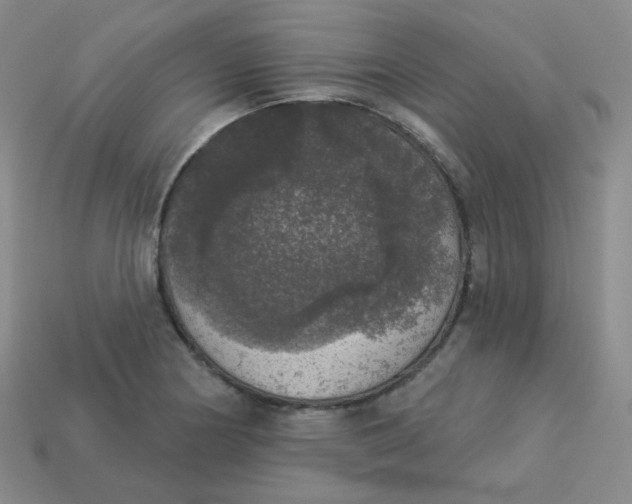 X0000113551178200910091258