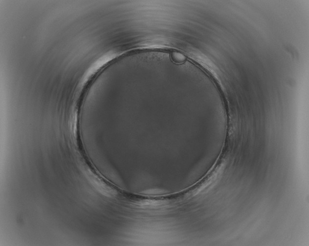 X0000113551179200910091258