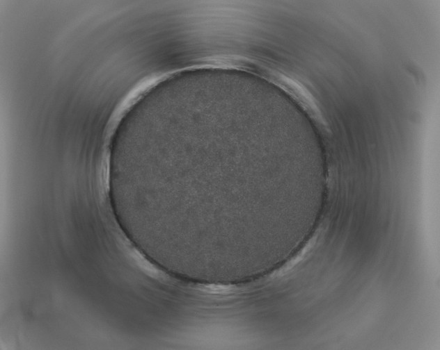 X0000113551180200910091258