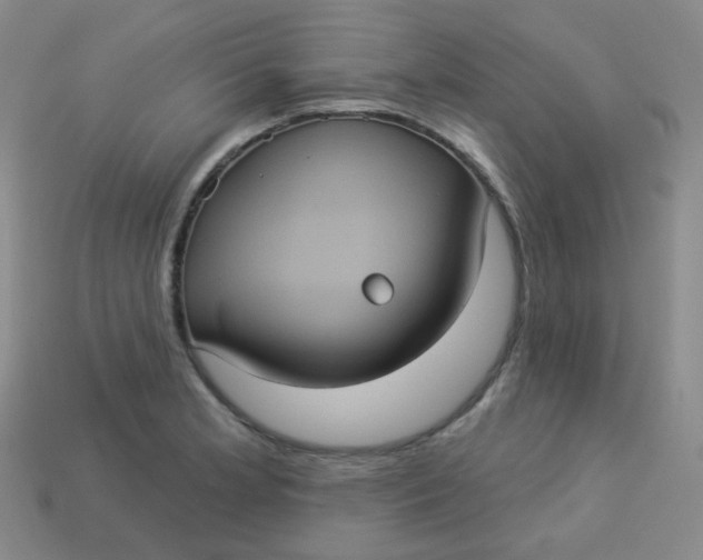 X0000113551181200910091258