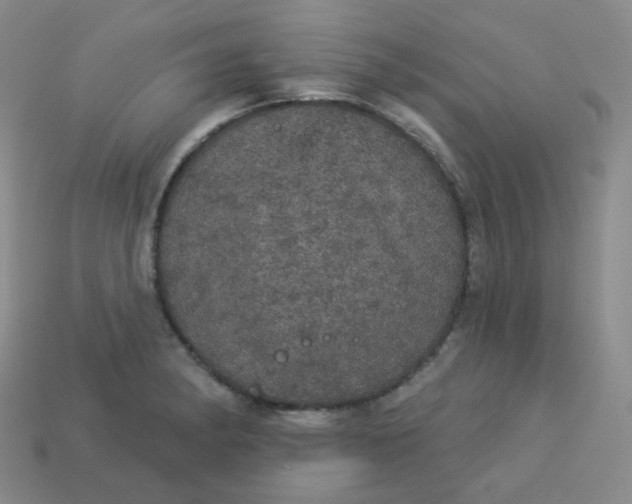 X0000113551182200910091258