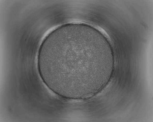 X0000113551183200910091258