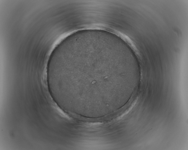 X0000113551184200910091258