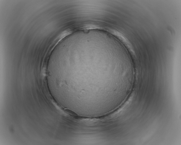 X0000113551185200910091258