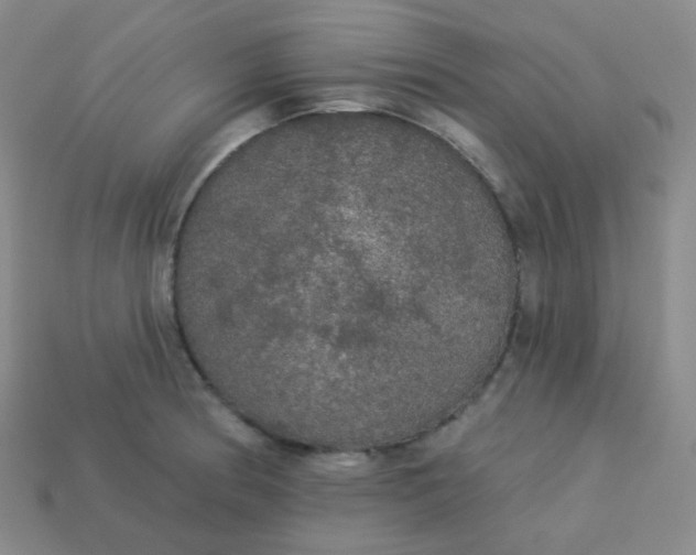 X0000113551186200910091258