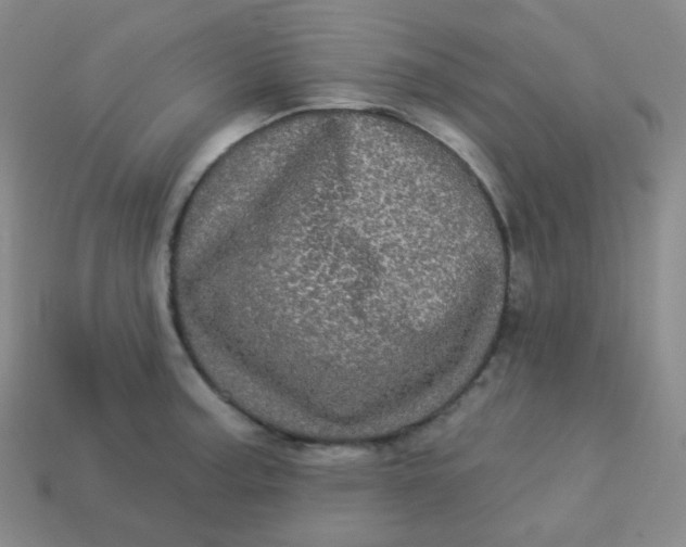 X0000113551187200910091258