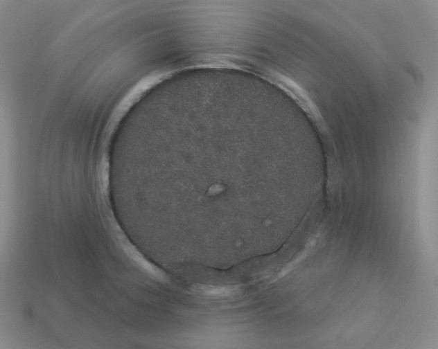 X0000113551188200910091258