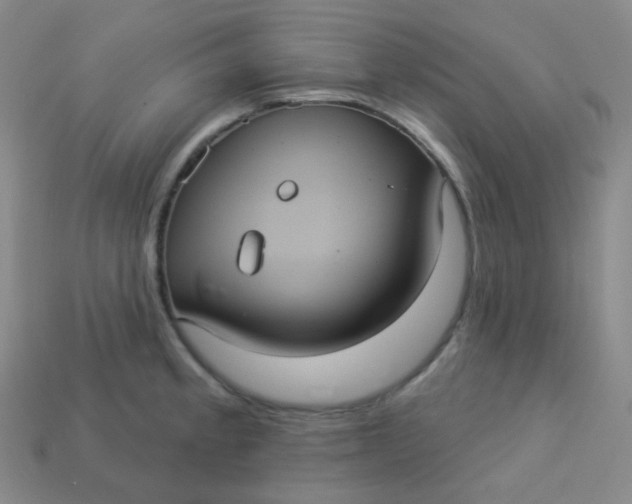 X0000113551189200910091258