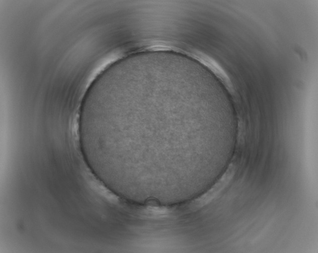 X0000113551190200910091258