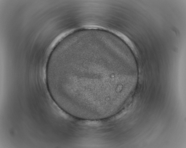 X0000113551191200910091258