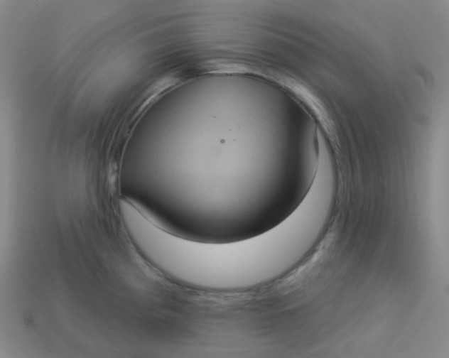 X0000113551193200910091258