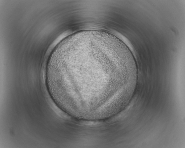 X0000113551195200910091258