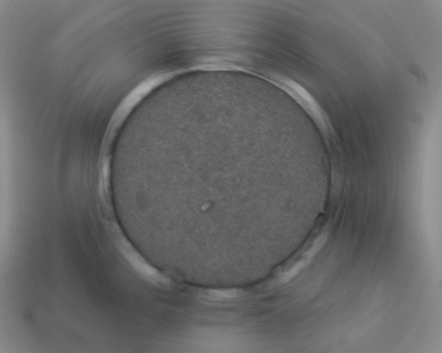 X0000113551196200910091258