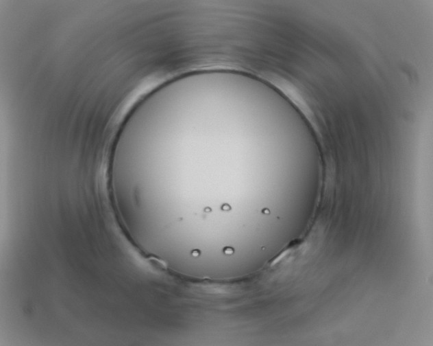 X0000113551197200910091258