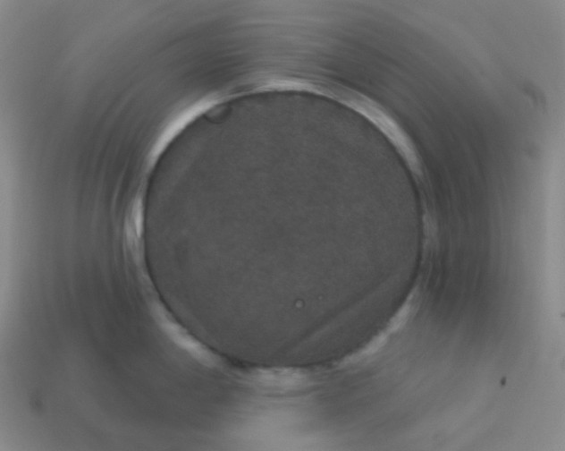 X0000113551198200910091258