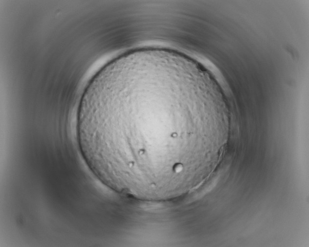 X0000113551199200910091257