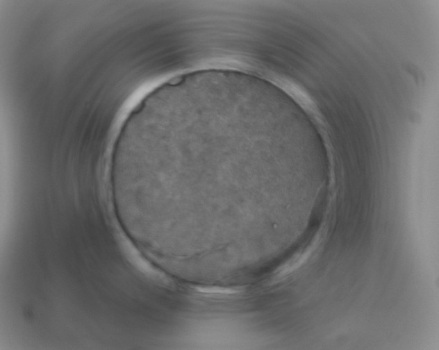 X0000113551200200910091257