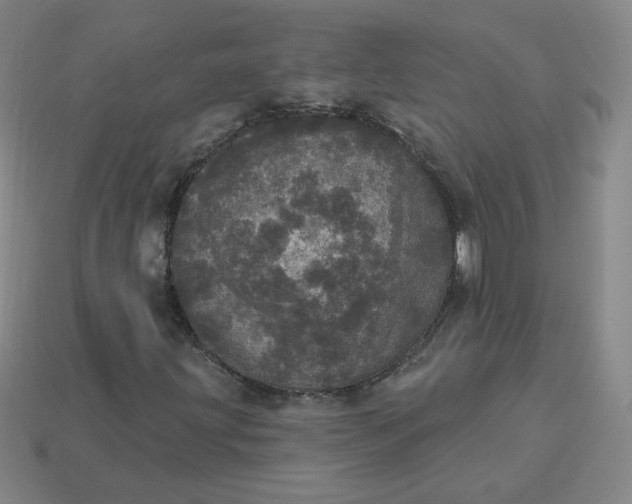 X0000113551203200910091257