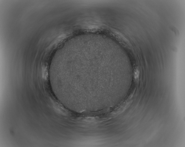 X0000113551204200910091257