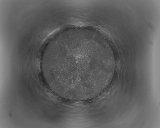 X0000113551205200910091257