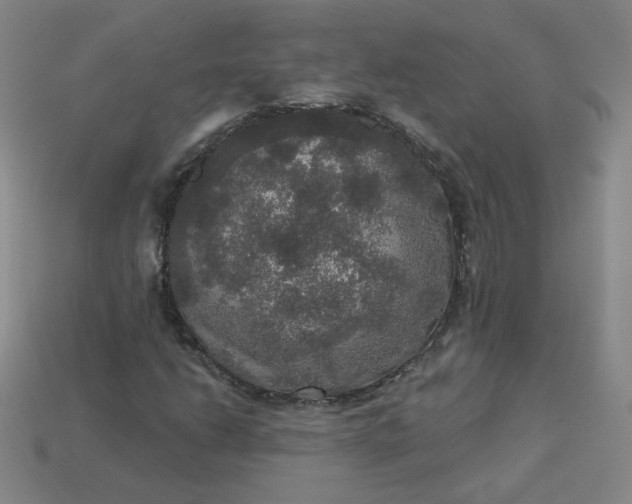 X0000113551206200910091257