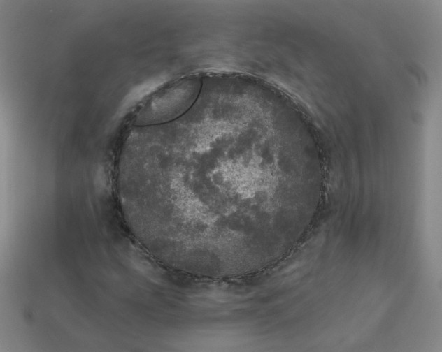 X0000113551207200910091257