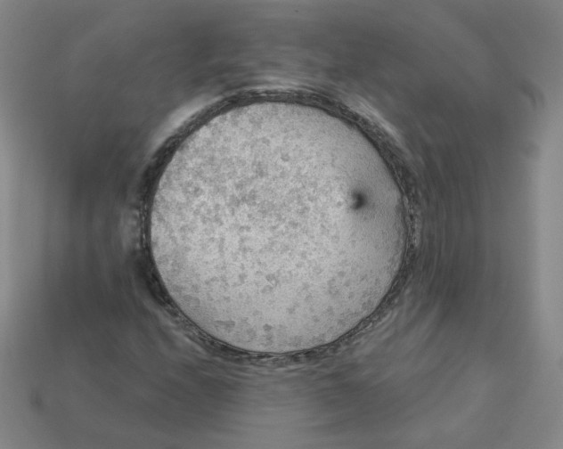 X0000113551208200910091257