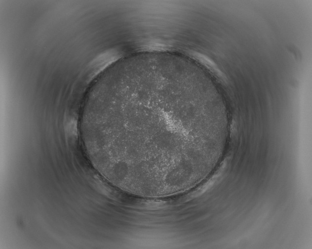 X0000113551209200910091257