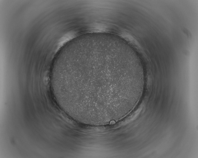 X0000113551210200910091257