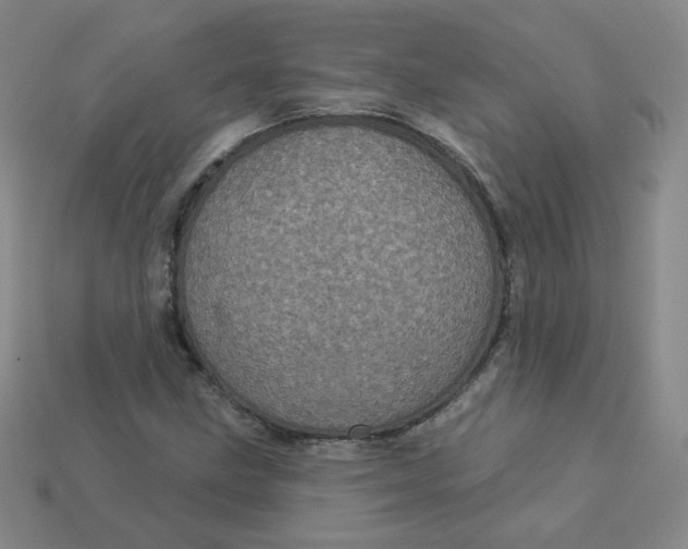 X0000113551211200910091257