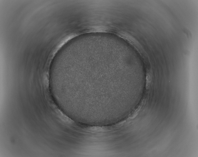 X0000113551212200910091257