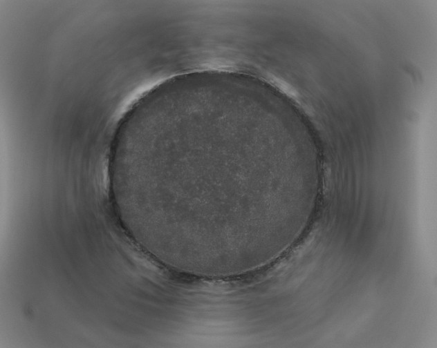 X0000113551214200910091257