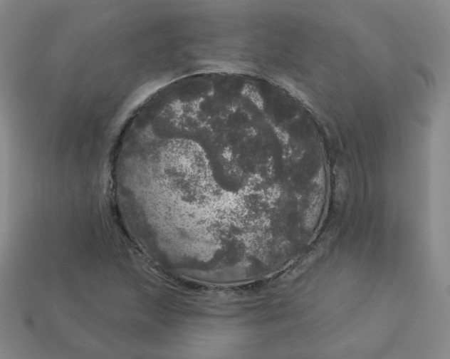 X0000113551215200910091257