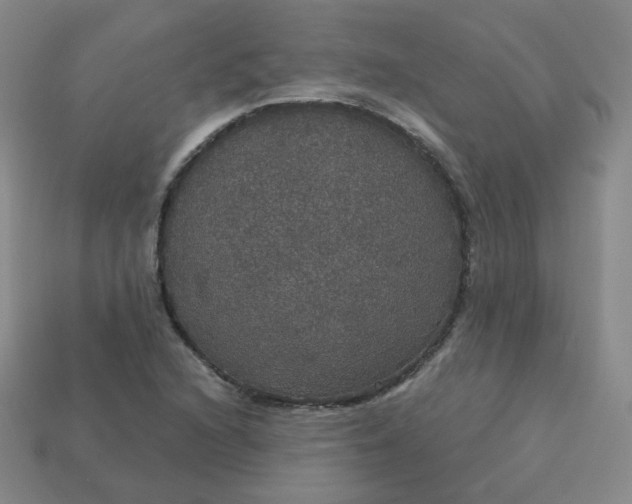 X0000113551216200910091257