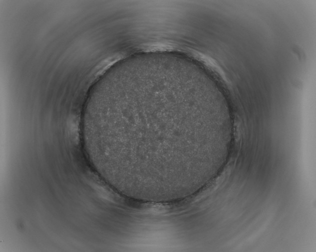 X0000113551217200910091257