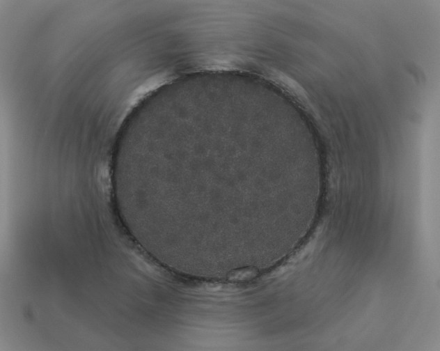 X0000113551218200910091257