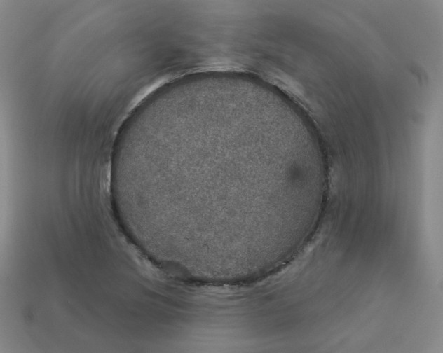 X0000113551220200910091257