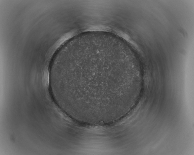 X0000113551221200910091257