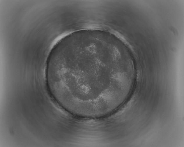 X0000113551222200910091257