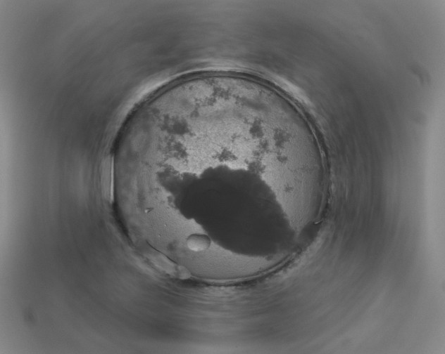 X0000113551223200910091257