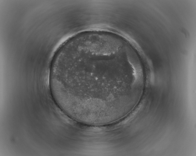 X0000113551224200910091257