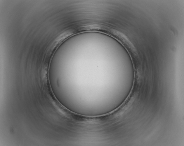 X0000113551225200910091257