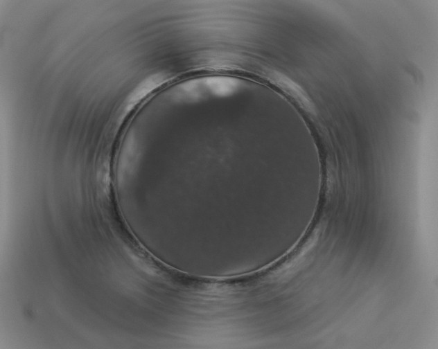 X0000113551226200910091257