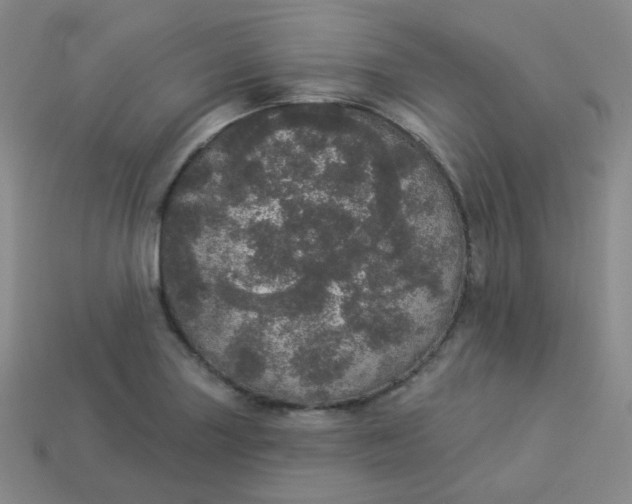 X0000113551227200910091257