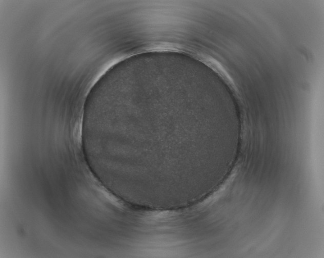 X0000113551228200910091257